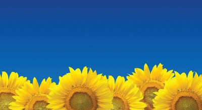 PrintFlat has removed banding